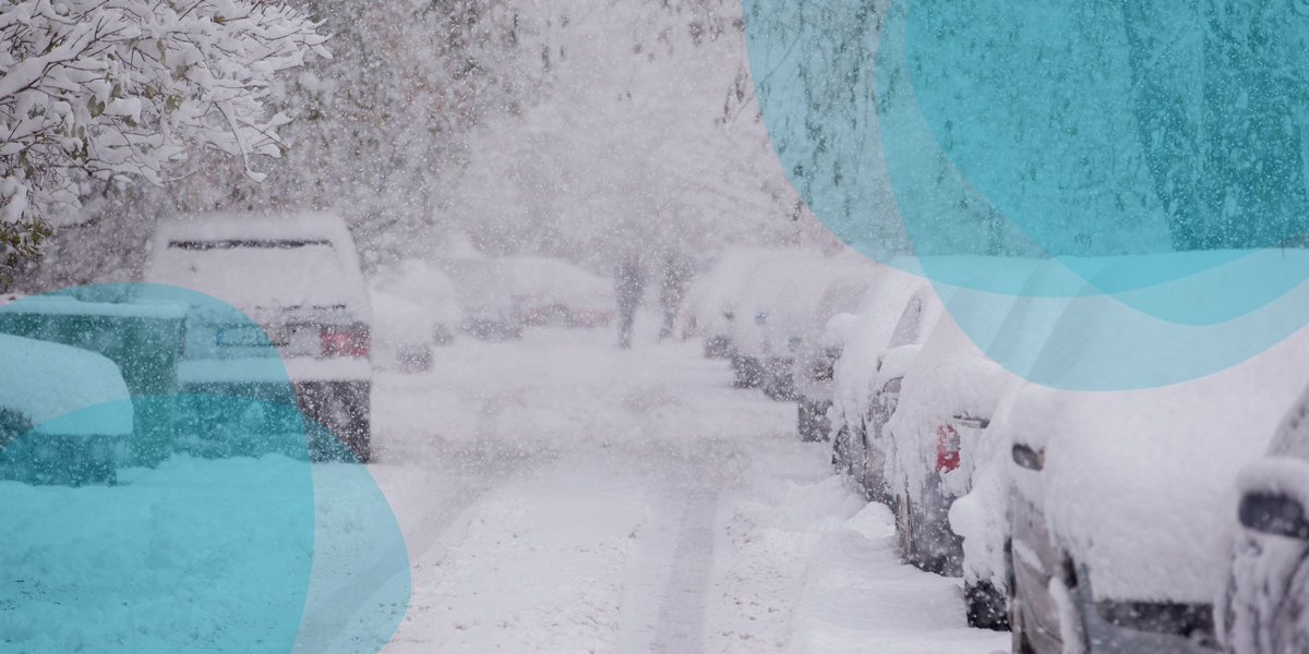 several cars covered by snow